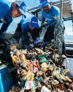 Image post by @4ocean on Instagram