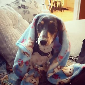 Image post by @hollysmee on Instagram