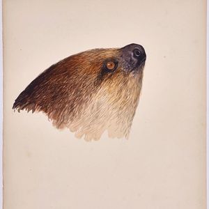 Image post by @drawingcenter on Instagram