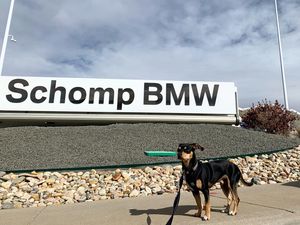 Image post by @schompbmw on Instagram