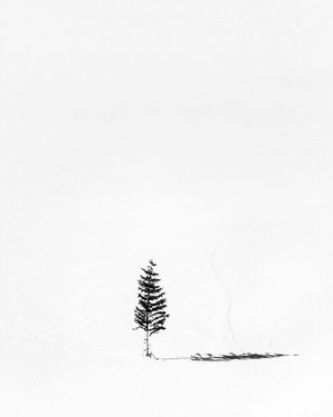 Image post by @jpotterphoto on Instagram
