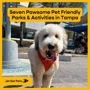 Image post by @jetsetpets on Instagram