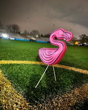 Image post by @forwardmadisonfc on Instagram