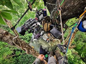 Image post by @reddigitalcinema on Instagram