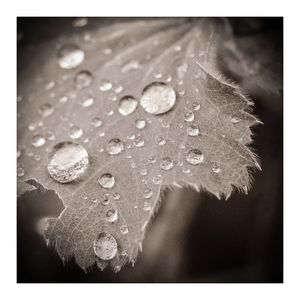 Image post by @fotodioxpro on Instagram
