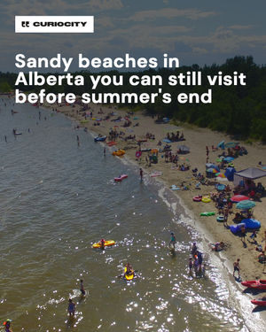 Image post by @curiocitycalgary on Instagram