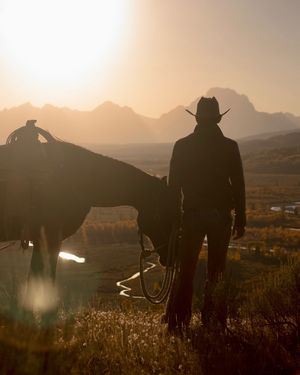 Image post by @diamondcrossranch on Instagram