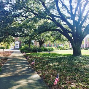 Image post by @uncw.alumni on Instagram