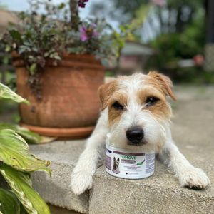 Image post by @yumove_usa on Instagram