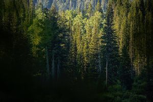 Image post by @amandajcain on Instagram