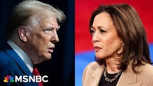 Video post by @msnbc on YouTube