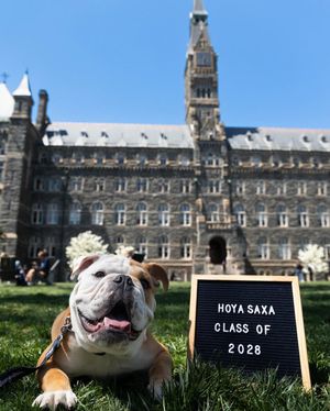 Image post by @georgetownuniversity on Instagram