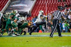 Image post by @herdzone on Instagram