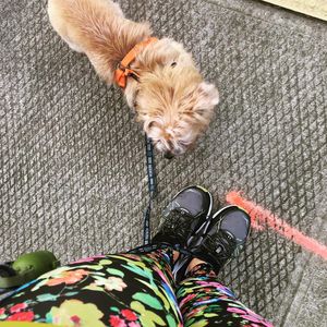 Image post by @amandakl on Instagram