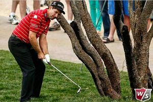 Image post by @wilsongolfcanada on Instagram
