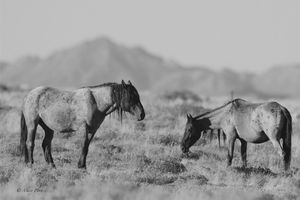 Image post by @huntsphotovideo on Instagram