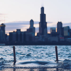 Image post by @willtrogdon on Instagram