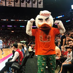 Image post by @um_sebastian on Instagram
