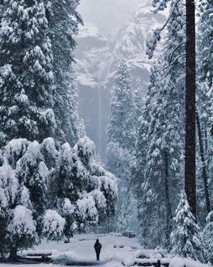 Image post by @nationalparkscollective on Instagram