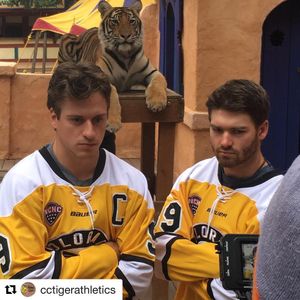 Image post by @thenchc on Instagram