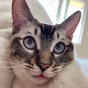 Image post by @evolvepetfood on Instagram