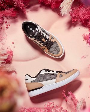 Image post by @Coach on Twitter/X