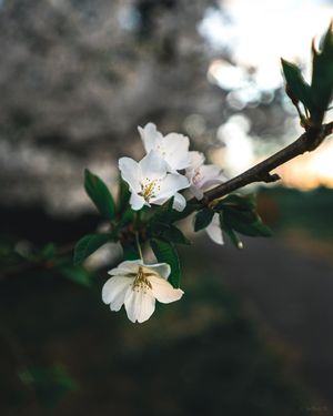 Image post by @jomatt_m on Instagram