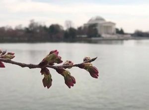 Image post by @nationalparkservice on Instagram