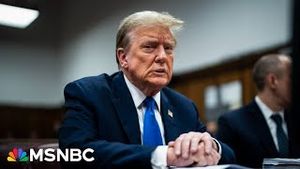 Video post by @msnbc on YouTube