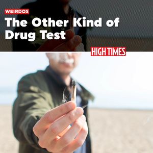 Image post by @hightimesmagazine on Instagram