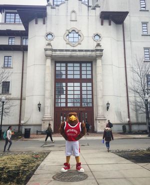 Image post by @redhawklife on Instagram