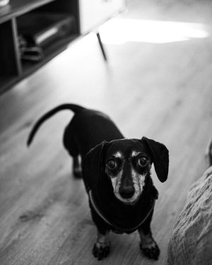 Image post by @bycorrigan on Instagram