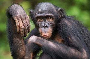 Image post by @animalplanet on Instagram