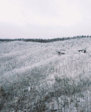 Image post by @drewpeden on Instagram