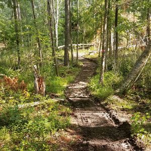Image post by @blackdiamond_traildesigns on Instagram