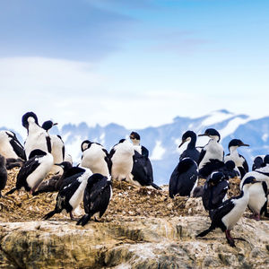 Image post by @discovery on Instagram