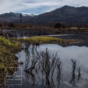 Image post by @lightboximages on Instagram