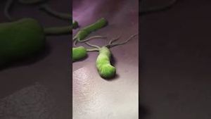 Video post by @whatifscienceshow on YouTube