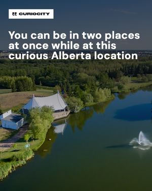 Image post by @curiocitycalgary on Instagram