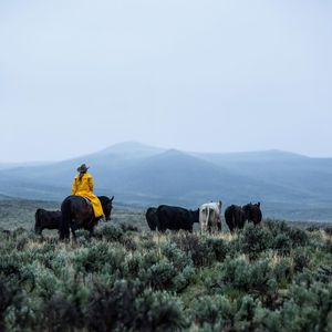 Image post by @schaeferoutfitter on Instagram