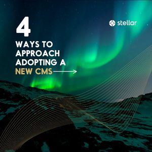 Image post by @stellaragency on Instagram