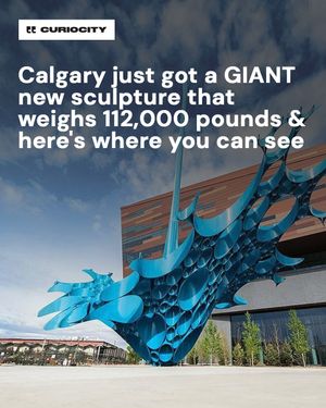 Image post by @curiocitycalgary on Instagram