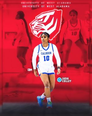 Image post by @warhawkwbb on Instagram