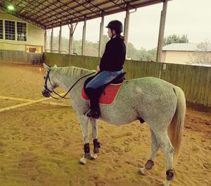 Image post by @appalachianequestrian on Instagram