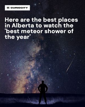 Image post by @curiocitycalgary on Instagram