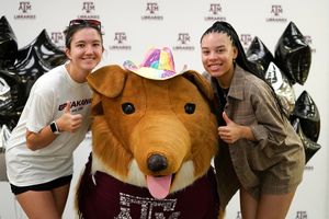 Image post by @tamu on Instagram