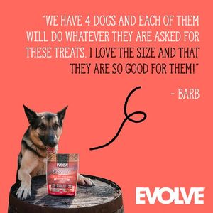 Image post by @evolvepetfood on Instagram
