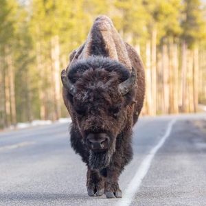 Image post by @nationalparkservice on Instagram