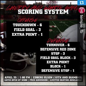 Image post by @templeowls on Instagram