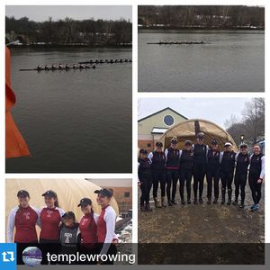 Image post by @templeowls on Instagram